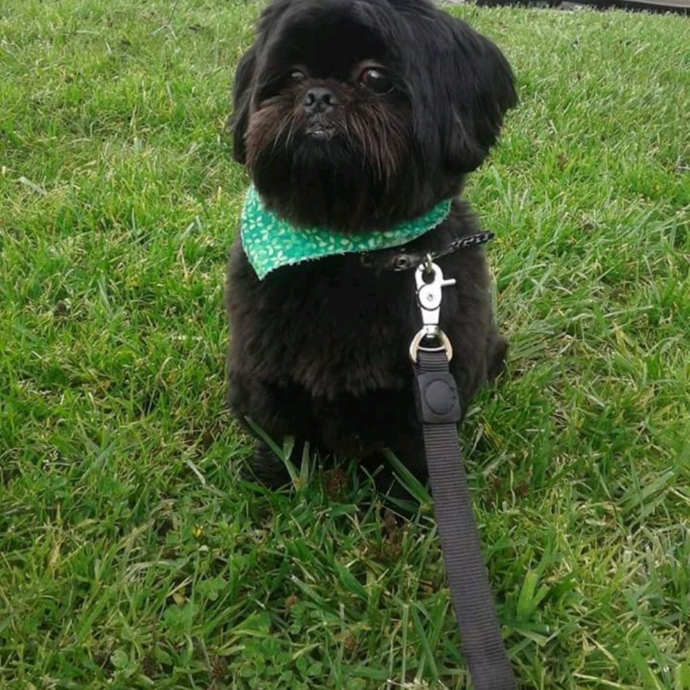 Meet your Posher, Jina